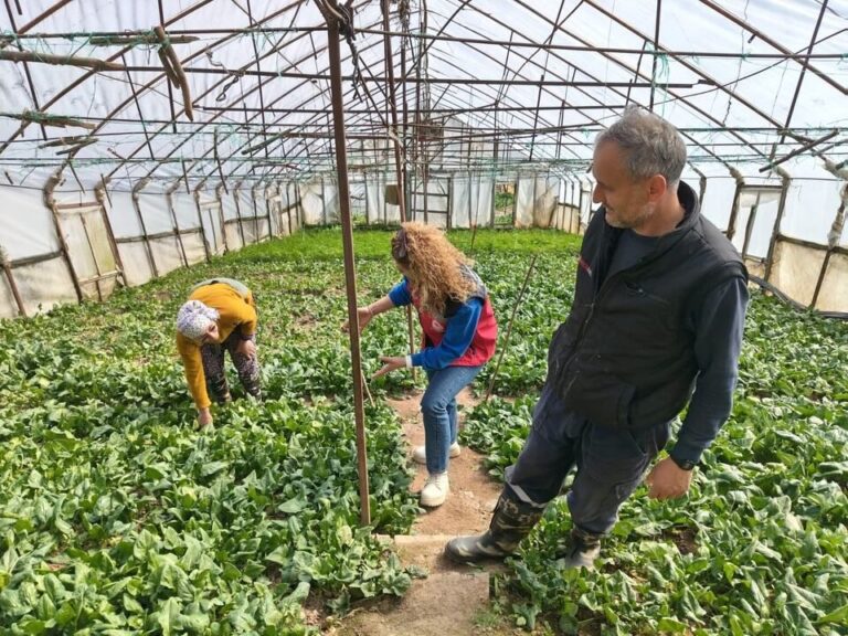 Giresun’da hedef pazara pestisitsiz ürün arzı!