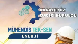 Mühendis Tek-Sen Enerji Karadeniz Şubesi Kuruldu