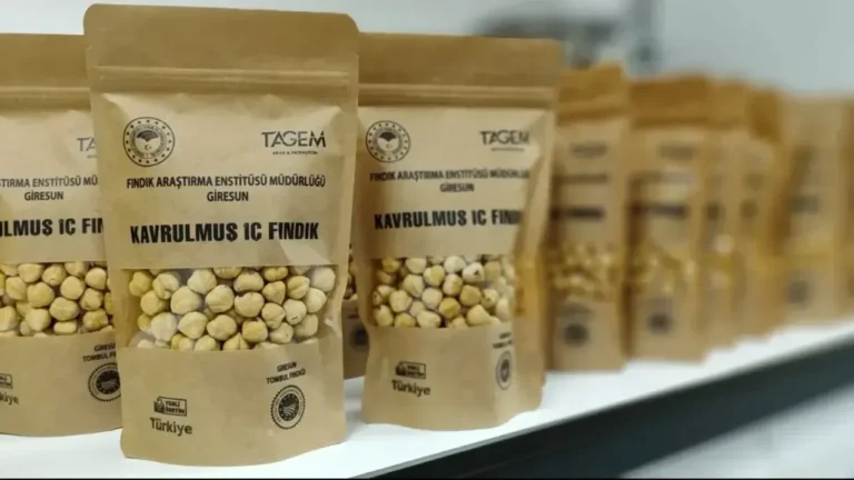 Giresun tombul fındığına katma değer katacak işbirliği