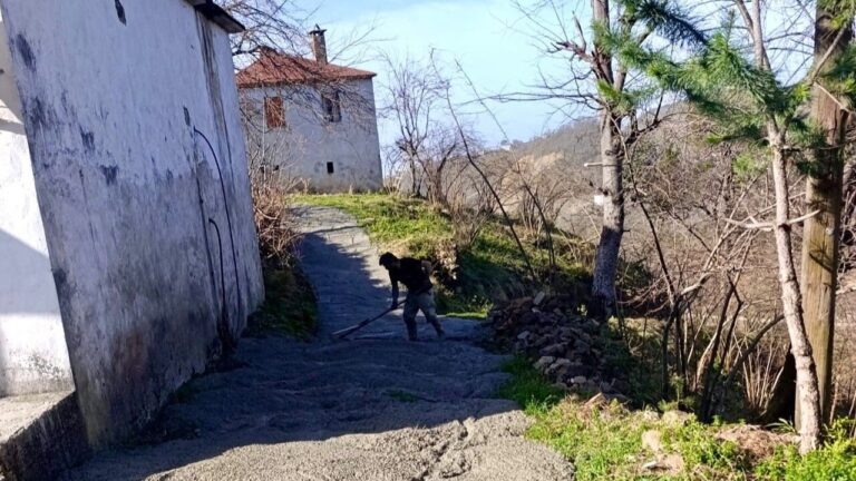 Tirebolu Ulaşım Konforu Artırılıyor