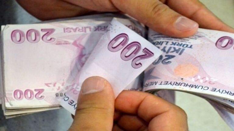 Giresun’da Çiftçilere 371 Milyon TL Destek Ödemesi Başlıyor