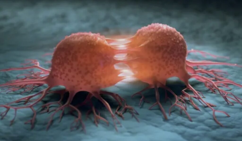 Kara’dan tam destek: Giresun’dan Kanser Tedavisinde Tarihî Başarı