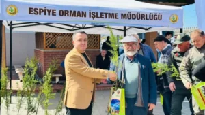 Espiye’de Vatandaşlara Ücretsiz Fidan Dağıtıldı
