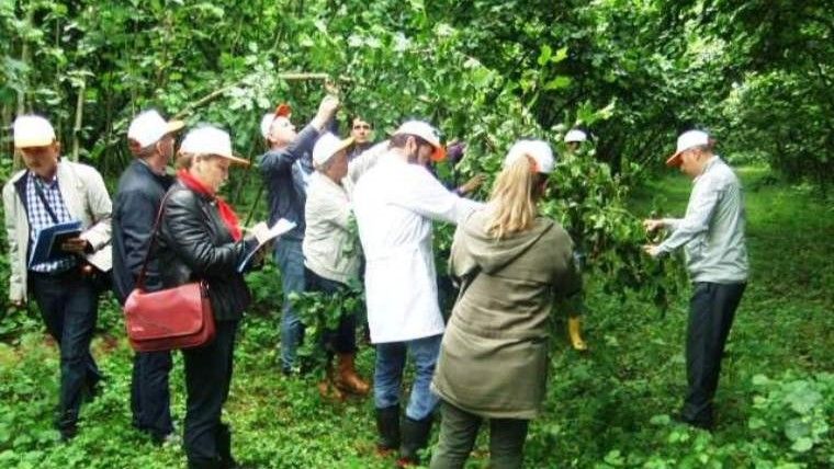 “Bu Bir Rekolte Tahmini Değil, Fiyat Düşürme Oyunudur!”