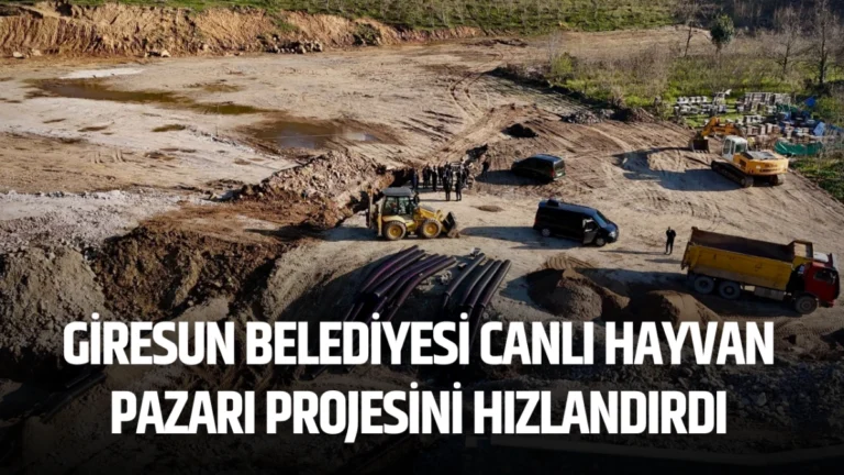 Giresun Belediyesi Canlı Hayvan Pazarı Projesini Hızlandırdı
