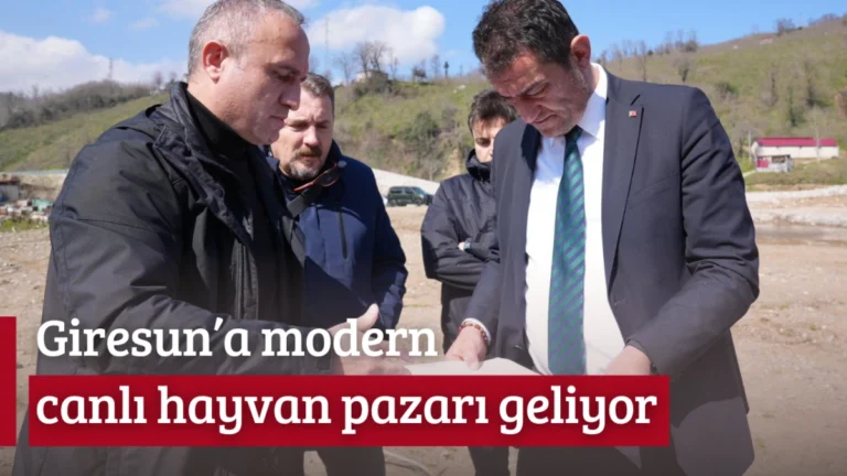 Giresun’a modern canlı hayvan pazarı geliyor