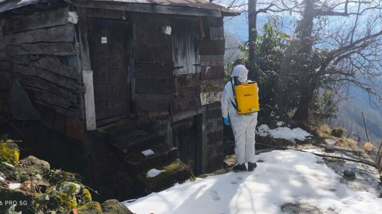 Fındıkta “İstila” Kapıda!