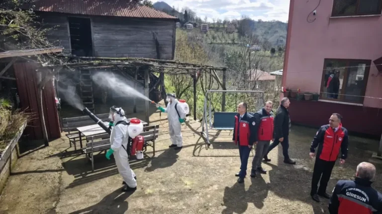 Kokarca Yayılmadan İmha Ediliyor!