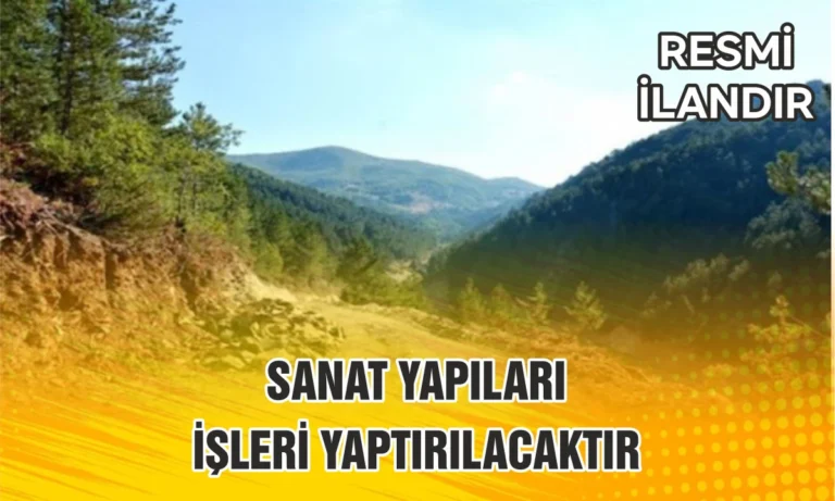 SANAT YAPILARI İŞLERİ YAPTIRILACAKTIR