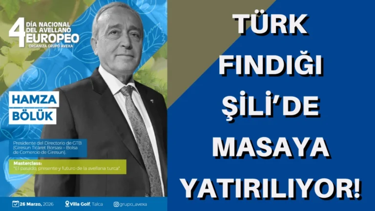 TÜRK FINDIĞI ŞİLİ’DE MASAYA YATIRILIYOR!