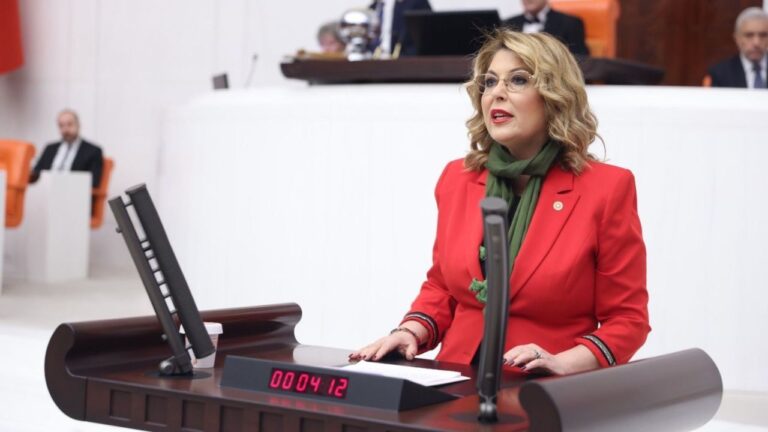 CHP’li Elvan Işık Gezmiş’ten Ordu-Giresun Havalimanı Tepkisi