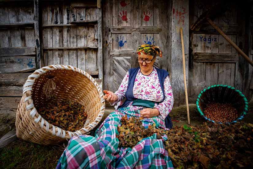 Kozoğlu’ndan Fındık İhracatçılarına Sert Tepki