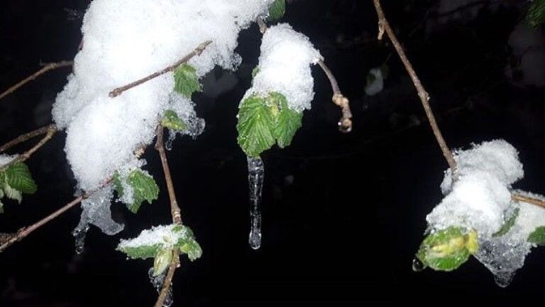 Meteoroloji Uzmanı Uyardı: Nisan Ayında Zirai Don Kapıda