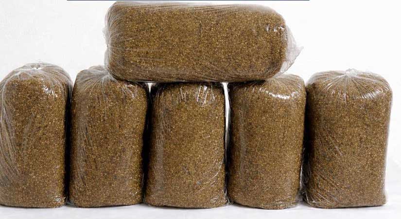 Giresun Jandarma’dan Eş Zamanlı Baskın