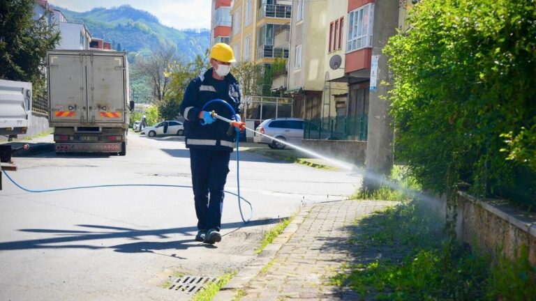 Giresun Belediyesi Kokarca ile Mücadeleye Başladı