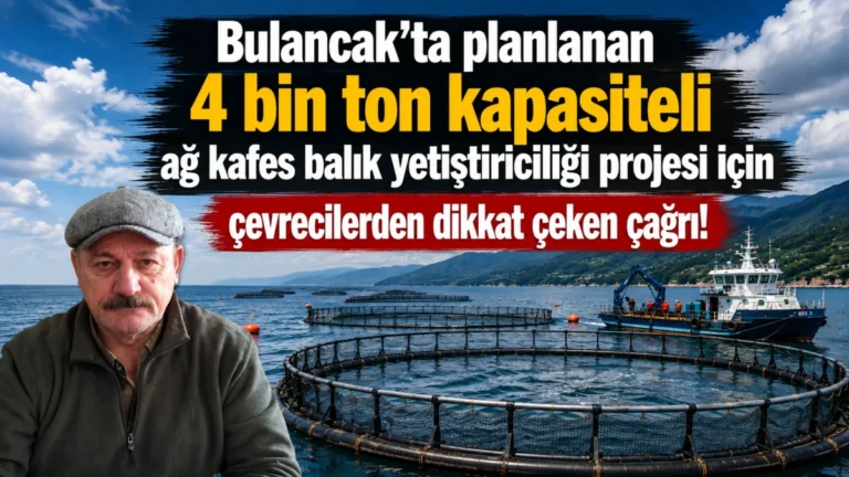 Çevre ve Doğa Derneğinden Talipli’deki kafes balık projesine şeffaflık çağrısı