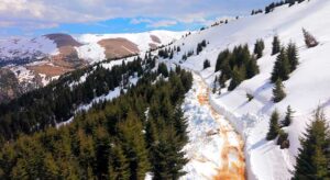 Giresun Yaylalarında  Zorlu Mesai