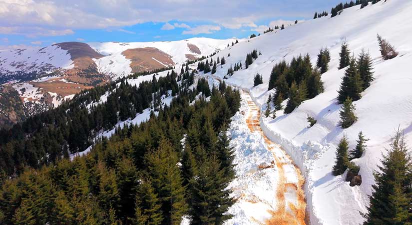 Giresun Yaylalarında  Zorlu Mesai