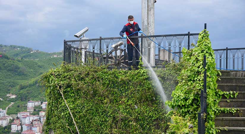 Giresun Kalesi’nde ilaçlama seferberliği
