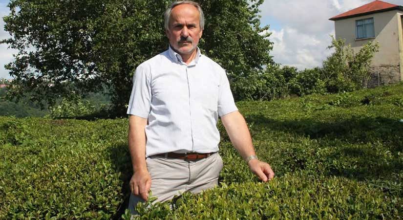 Çay fabrikası girişimine sahip çıktı