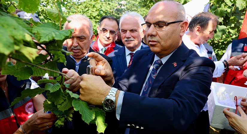 Samuray arıları doğaya salındı
