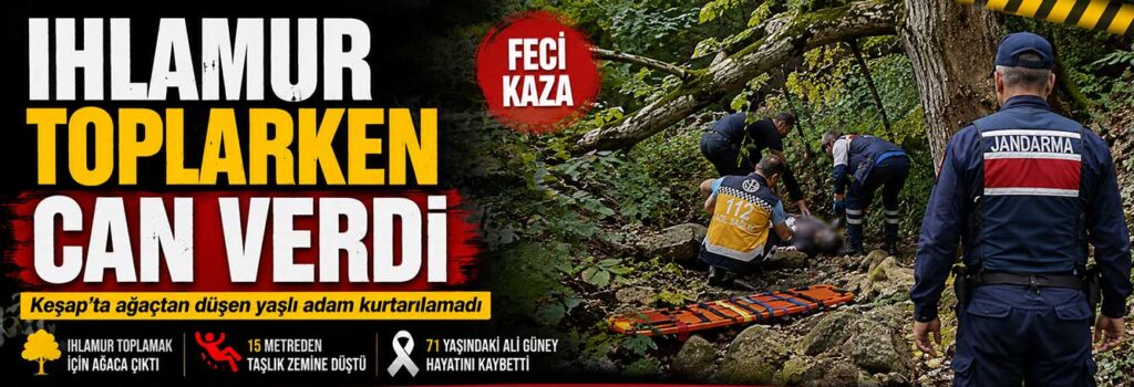 Keşap’ta ağaçtan düşen yaşlı adam kurtarılamadı