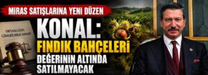 Konal: Fındık bahçeleri değerinin altında satılmayacak
