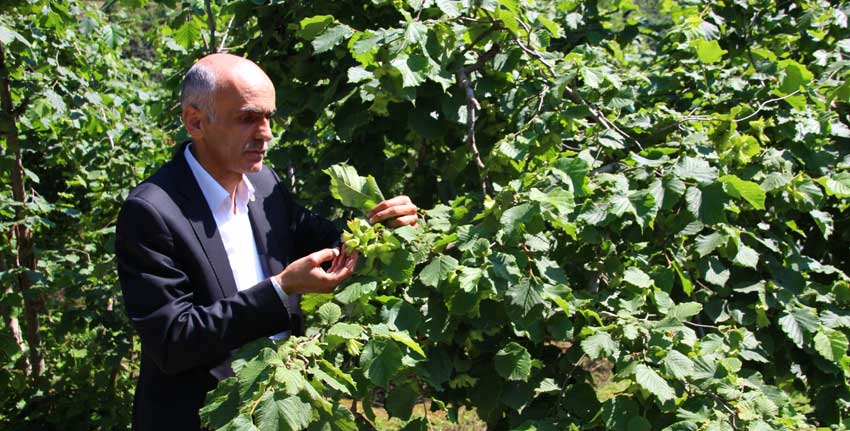 Karan: Vekiller 240 lira önererek çiftçiye ihanet ettiler