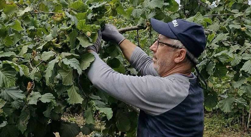 Dural: Fındık üreticisi sadaka değil, hakkını istiyor