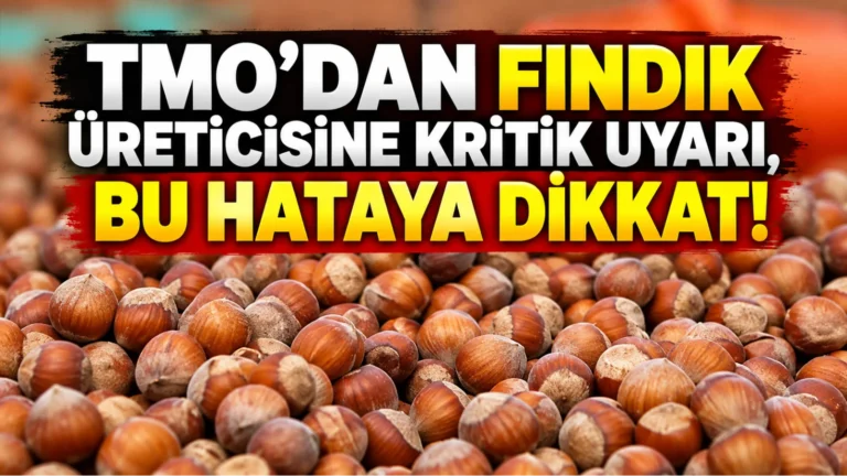 TMO’dan fındık üreticisine kritik uyarı, Bu hataya dikkat!