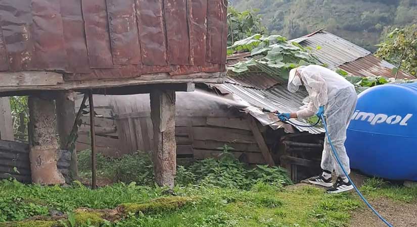 Giresun’da kahverengi kokarcaya karşı ilaçlama çalışmaları genişledi