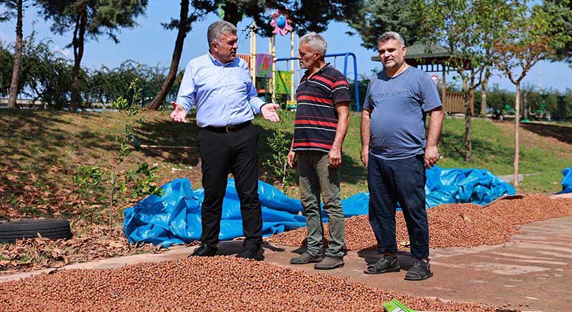 Sıbıç: Fındık gerçek değerini bulmalı